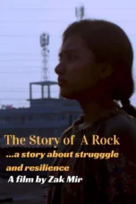 The Story of a Rock (2025) The Story of a Rock (2025)
